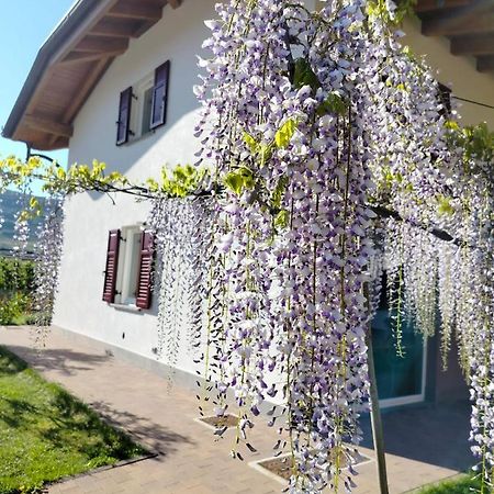 Agritur Lavanda Nave San Rocco Exteriör bild