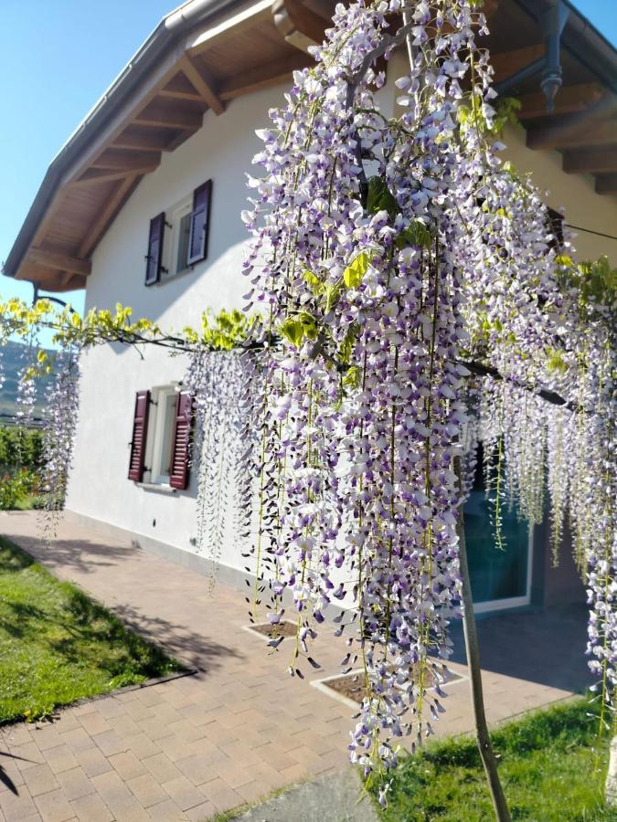 Agritur Lavanda Nave San Rocco Exteriör bild