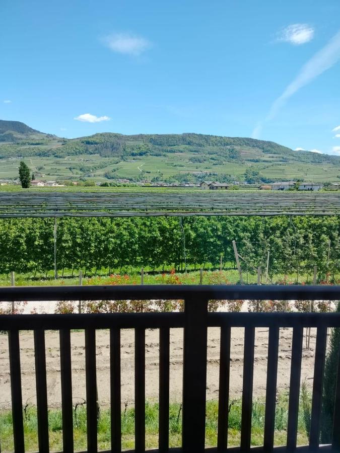 Agritur Lavanda Nave San Rocco Exteriör bild
